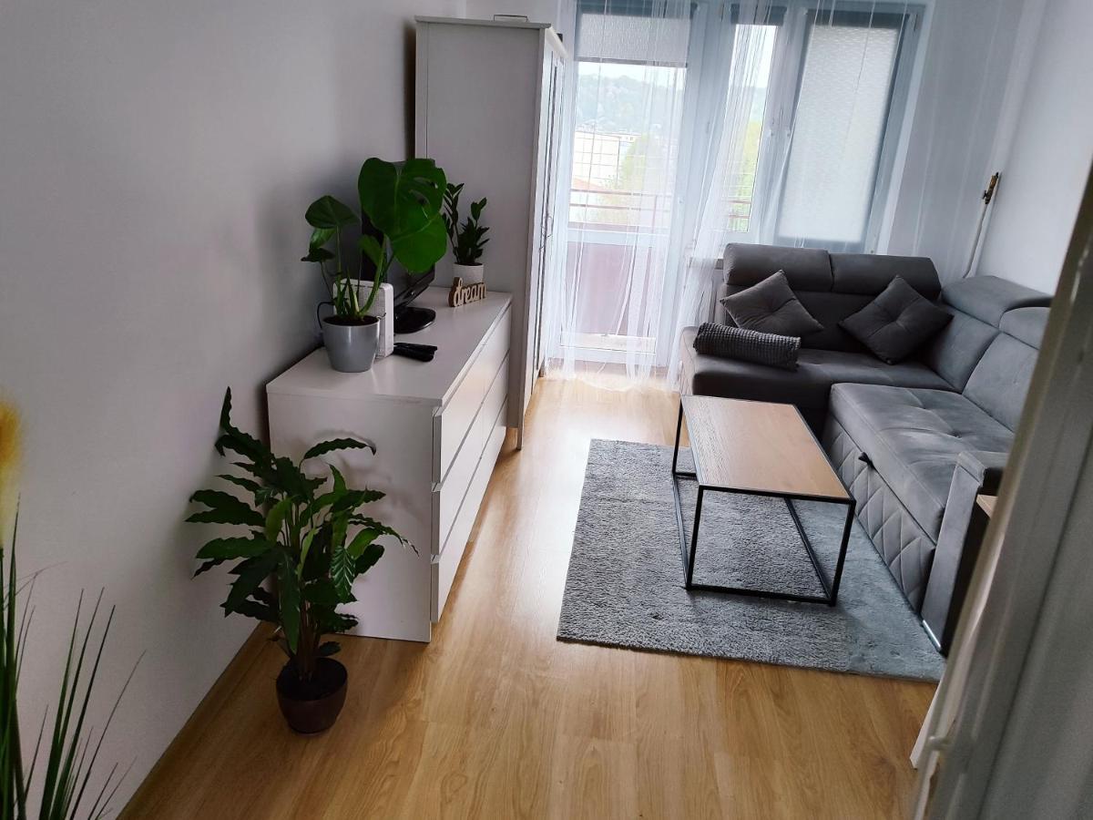 Apartament Sweet Dreams Apartment Sanok Luaran gambar